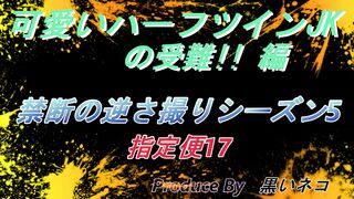 可愛いハーフツインJKの受難!!編　禁断の逆さ撮りシーズン5　指定便17 voyeur jp