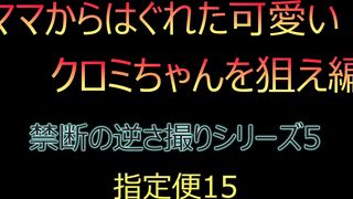 ママとはぐれた可愛いクロミちゃんを狙え編 禁断の逆さ撮りシーズン5　指定便15 voyeur jp
