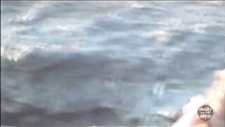 野ション見せ合い voyeur jp