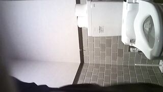 【期間限定】トイレの中の女性たちin8時間収録 jvip