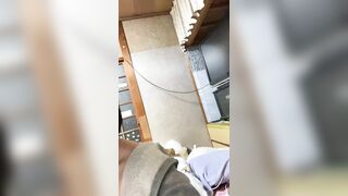 ※GW限定　【4000点・禁忌・完全放流・ガチ】パンドラの箱　 - jvip 11